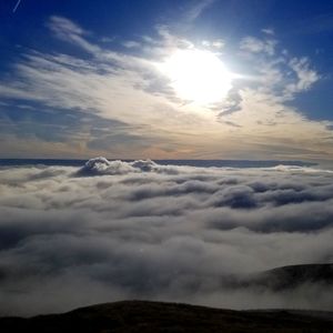 Meet your Posher, Carlene